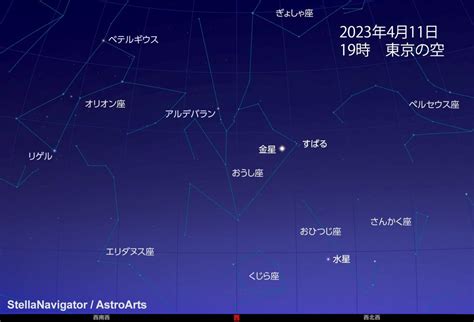 4月30什麼星座|4月30日出生的星座